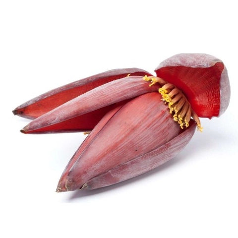 Sản phẩm