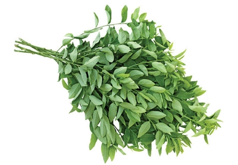 Sản phẩm